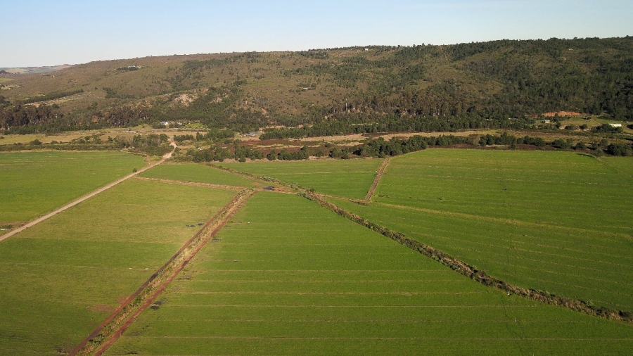 6 Bedroom Property for Sale in Riversdale Rural Western Cape
